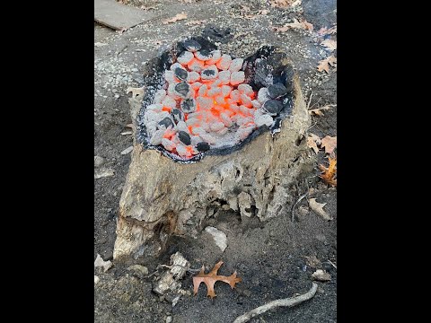 Stump Removal with charcoal
