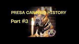 PRESA CANARIO HISTORY WITH MANUEL CURTO JR.- Part #3  #presacanario #mastiffdogs #canaryislands by GOOD GUARDIAN K9 (Working Dog) 635 views 1 year ago 25 minutes