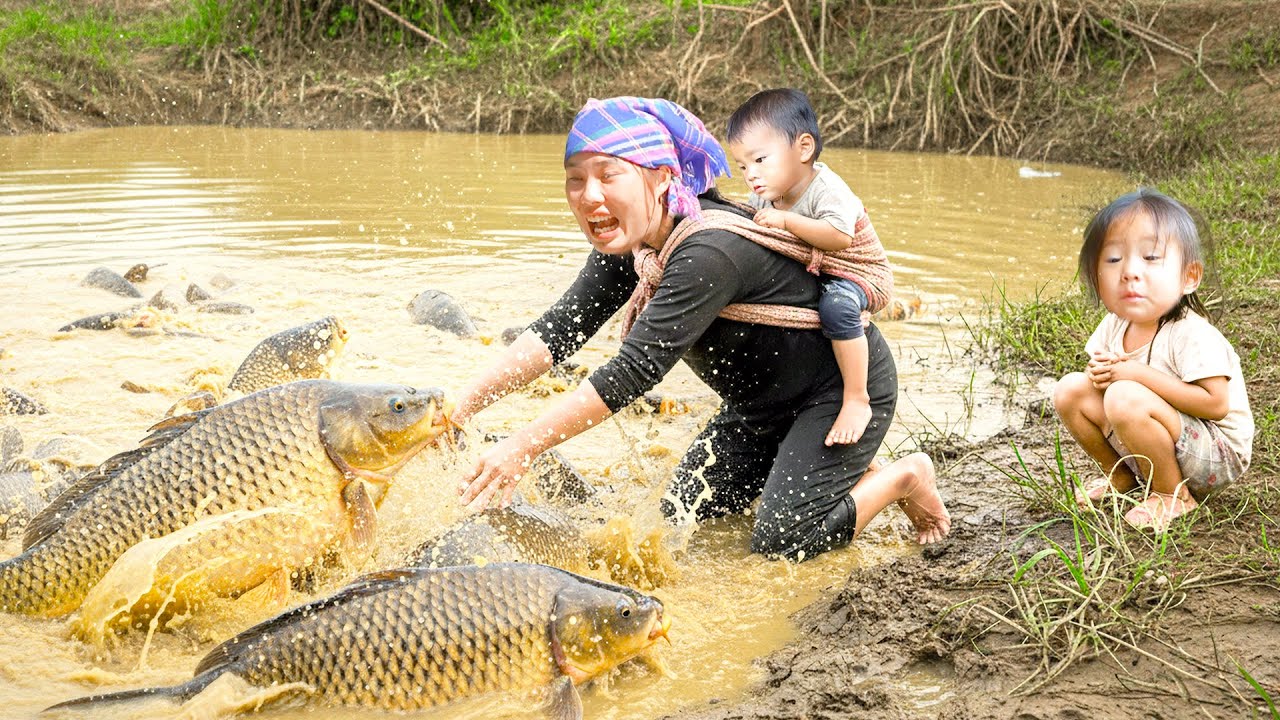 Catching Giant Fish Pond Full of Carp in the Wild - Harvesting Vegetable and Fish to Sell at Market