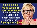 - ЗОЛОВКА – змеиная головка! – настропалила СВЕКРОВУШКУ, будто мы ЗАГНАЛИ её в РАБСТВО