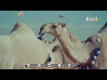 فاصل29 مهرجان الملك عبد العزيز 4 شوط نخبة النخبة الشقح المجاهيم