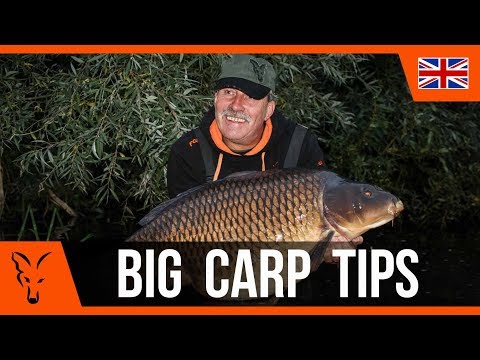 Video: How To Catch A Big Carp