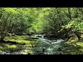 続編③🔮京都府南丹市小6行方不明⛰️るり渓谷、連休に何が?を占った😱
