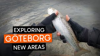 EXPLORING new areas for mackerel and sea trout FISHING in GOTHENBURG