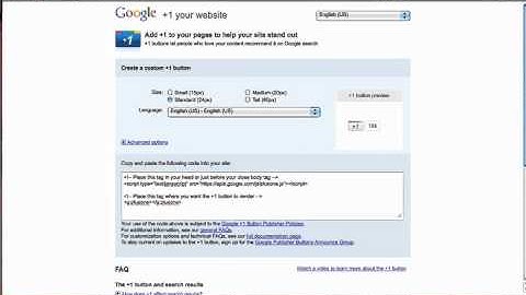 Google Plus One - Review, Installation, Wordpress Plugins, new PageRank?