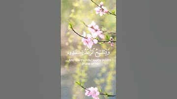 ﴿هُوَ الَّذِي يُرِيكُمُ الْبَرْقَ خَوْفًا وَطَمَعًا وَيُنشِئُ السَّحَابَ الثِّقَالَ﴾[سورة الرعد: 12]