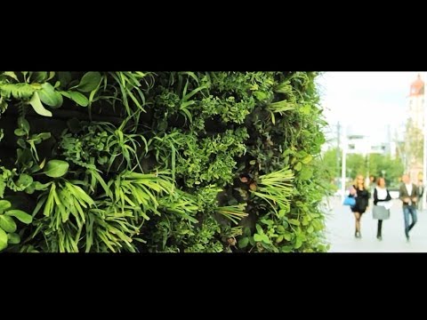 Video: Vertikal Trädgårdsskötsel Och Försköning