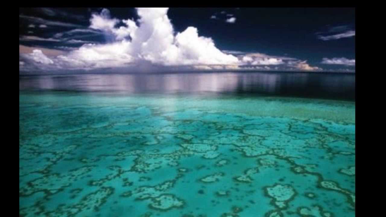 Nebudu tu pidu dalej