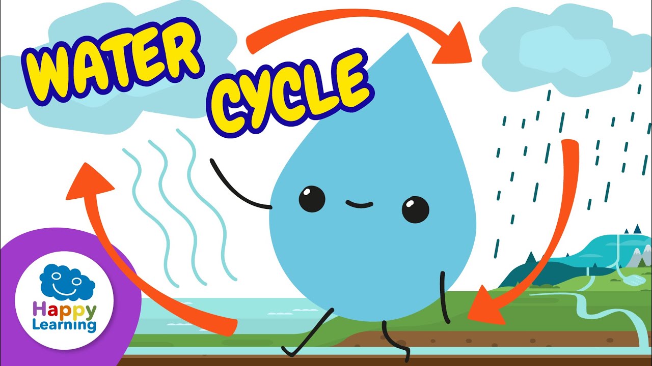 THE WATER CYCLE💧: How It Works and Why It’s Important | Science for Kids 🌍 Happy Learning