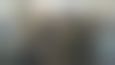 Bug compilation in Assassin