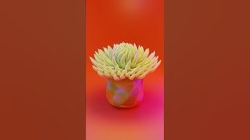 Tree Bloom [Blender Cycles]