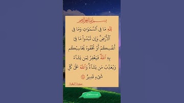 آيات من الذكر الحكيم