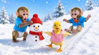 Affe BonBon und sein Freund bauen einen Schneemann und spielen mit einem süßen Entenküken im Schnee!