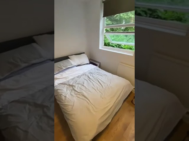 Video 1: