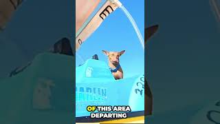 Unveiling Cayo Guillermo Cuba: Glass Bottom Boat Tour