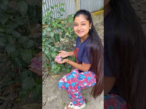 এই ফুলটা প্রথমবার ফুটল..❤️😱#banglaminivlog #minivlog #gardening #gardeningtips #plantslove #plants