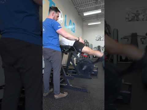 Exercise Library | Reverse Hyper