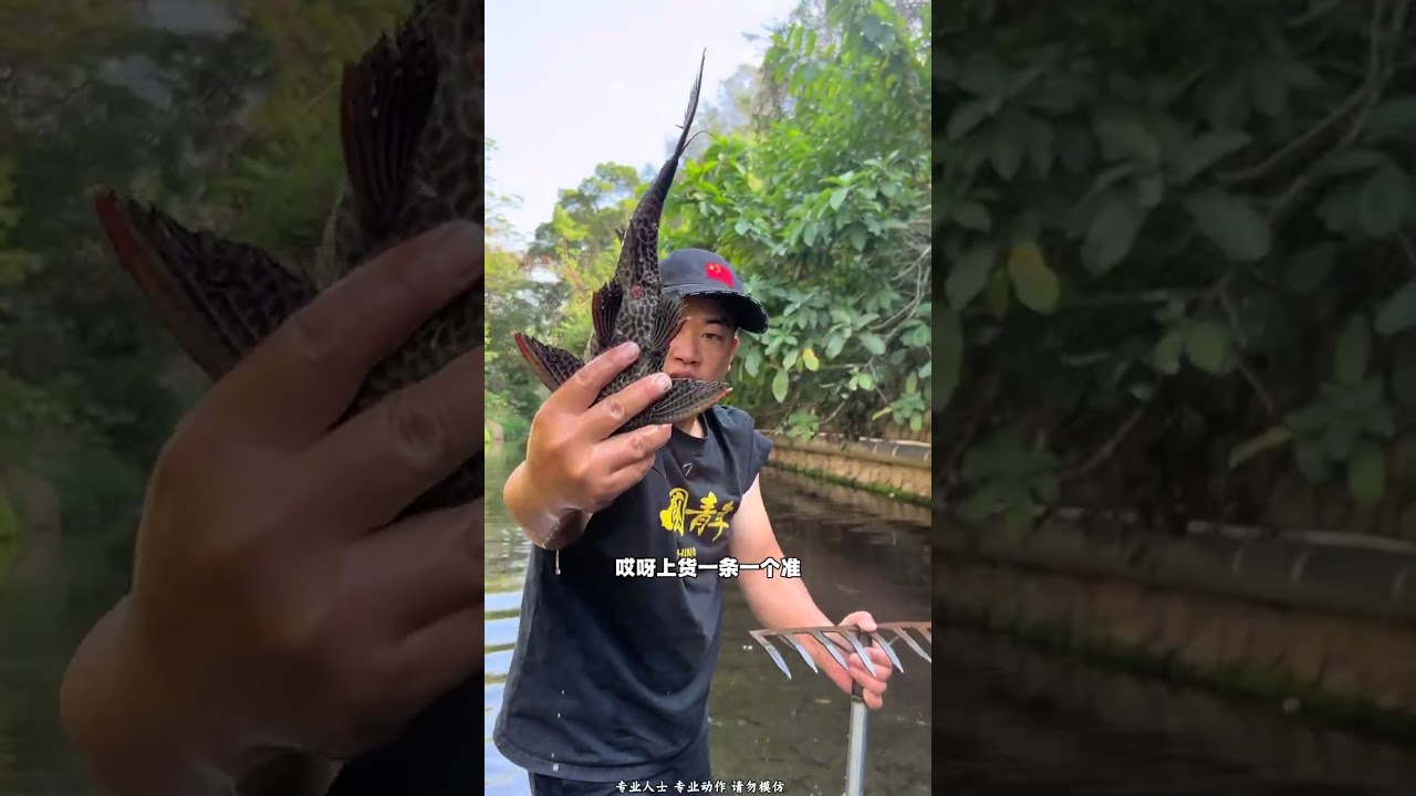 Reviving Fish Ecosystem: My Mission Continues