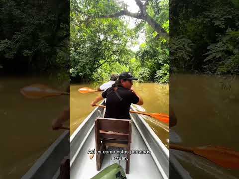 𝑫𝒐 𝒚𝒐𝒖 𝒌𝒏𝒐𝒘 𝒘𝒉𝒂𝒕 𝑨ñ𝒂𝒏𝒈𝒖 𝒎𝒆𝒂𝒏𝒔 𝒊𝒏 𝒕𝒉𝒆 𝑲𝒊𝒄𝒉𝒘𝒂 𝒍𝒂𝒏𝒈𝒖𝒂𝒈𝒆