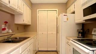 4839 Brandeis 821 G