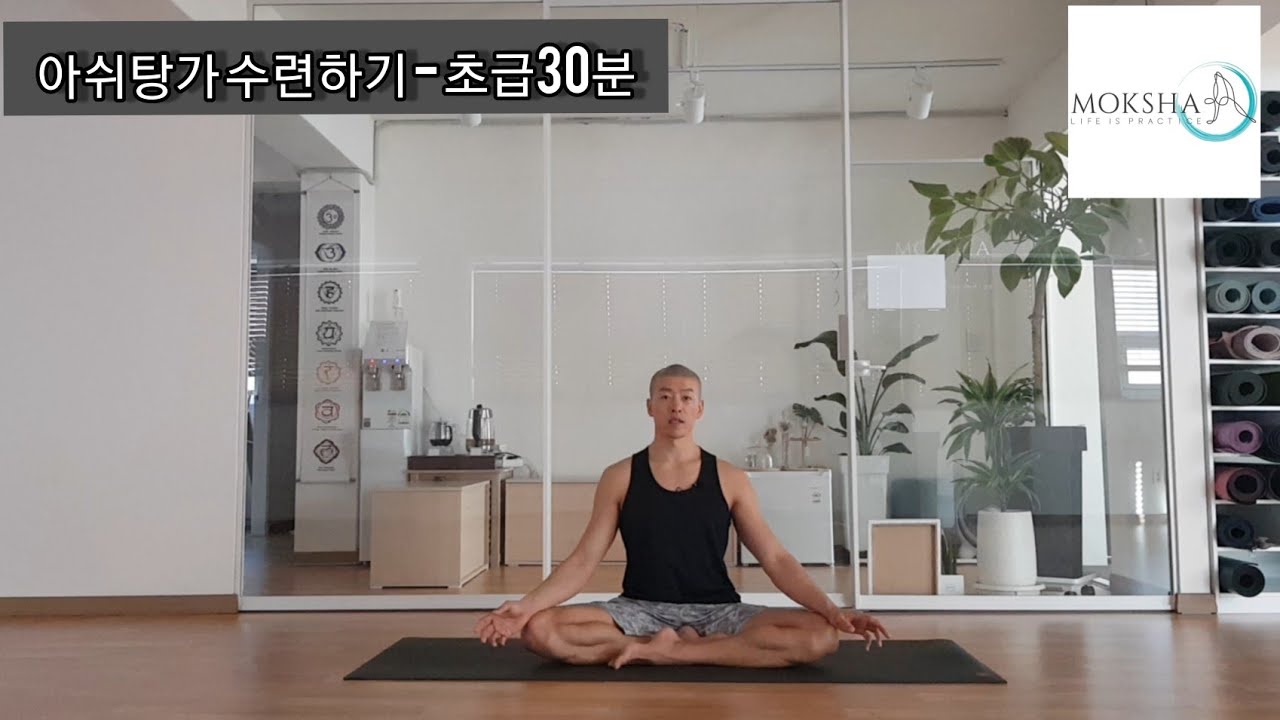 아쉬탕가 수련하기 - 베이직 30분 (AshtangaYoga - 30minutes)