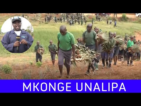 Video: Mbinu Za Kujithamini