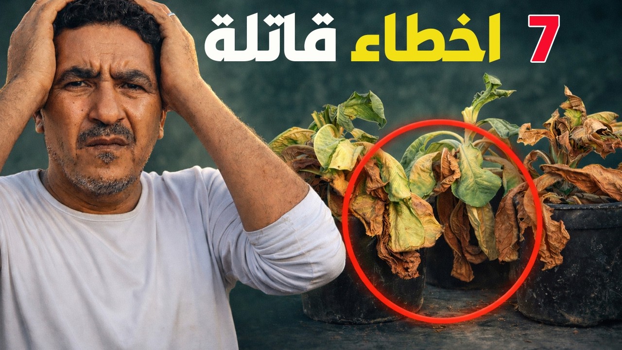 90% يرتكبونها… لو بتعمل واحدة منهم مفيش زرع هينجح عندك!