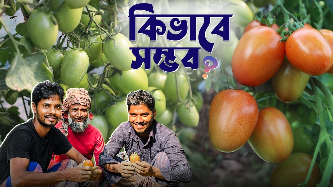 ফলন দেখে কৃষকের মাথায় হাত