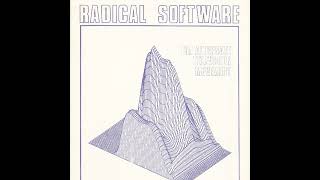 Radical Software – Beryl Korot