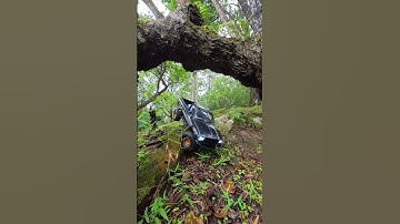 Rc4wd Tf-2 new 1.9 wheels #rccrawler #rc4wd #insta360go3