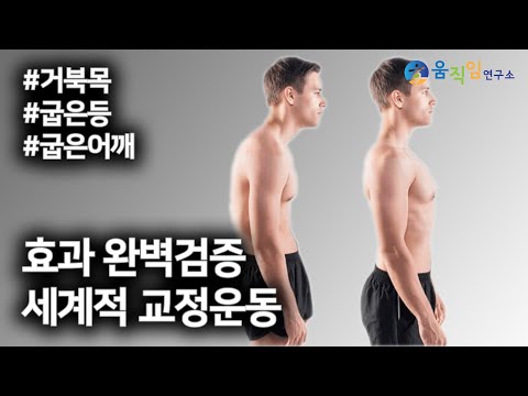 하루가 다르게 좋아집니다, 최고의 교정운동을 체험해보세요! [feat. 맥켄지 운동]