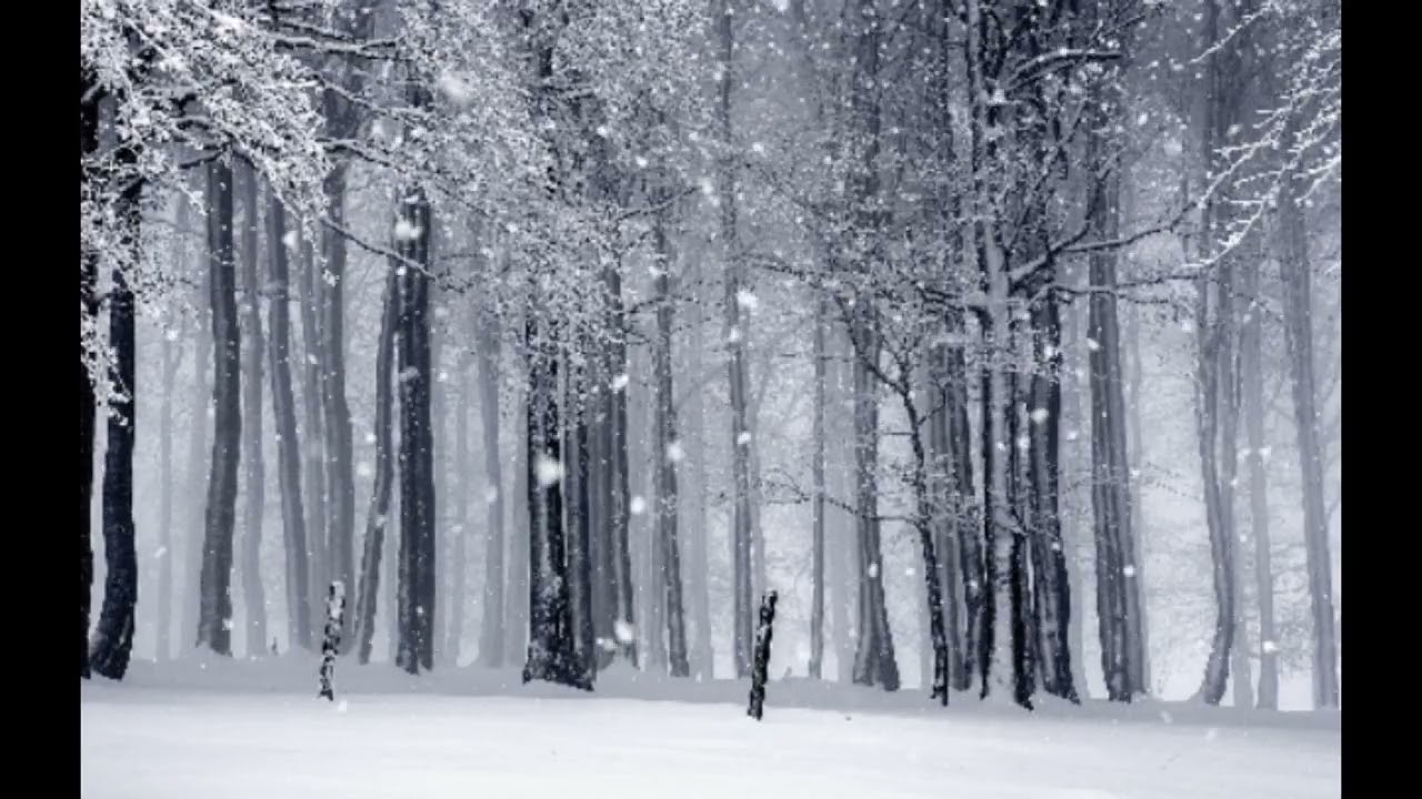 Romanza d'inverno. Federico Buonocore