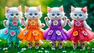 Cat Videos Funny Short Dancedance Videos For Cats Catladli71471