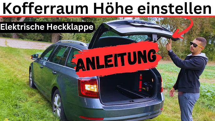 Front-Scheibenversiegelung: Anleitung, Tipps & Infos, VW, Audi, Seat,  Skoda, Ford, Opel, Mercedes 