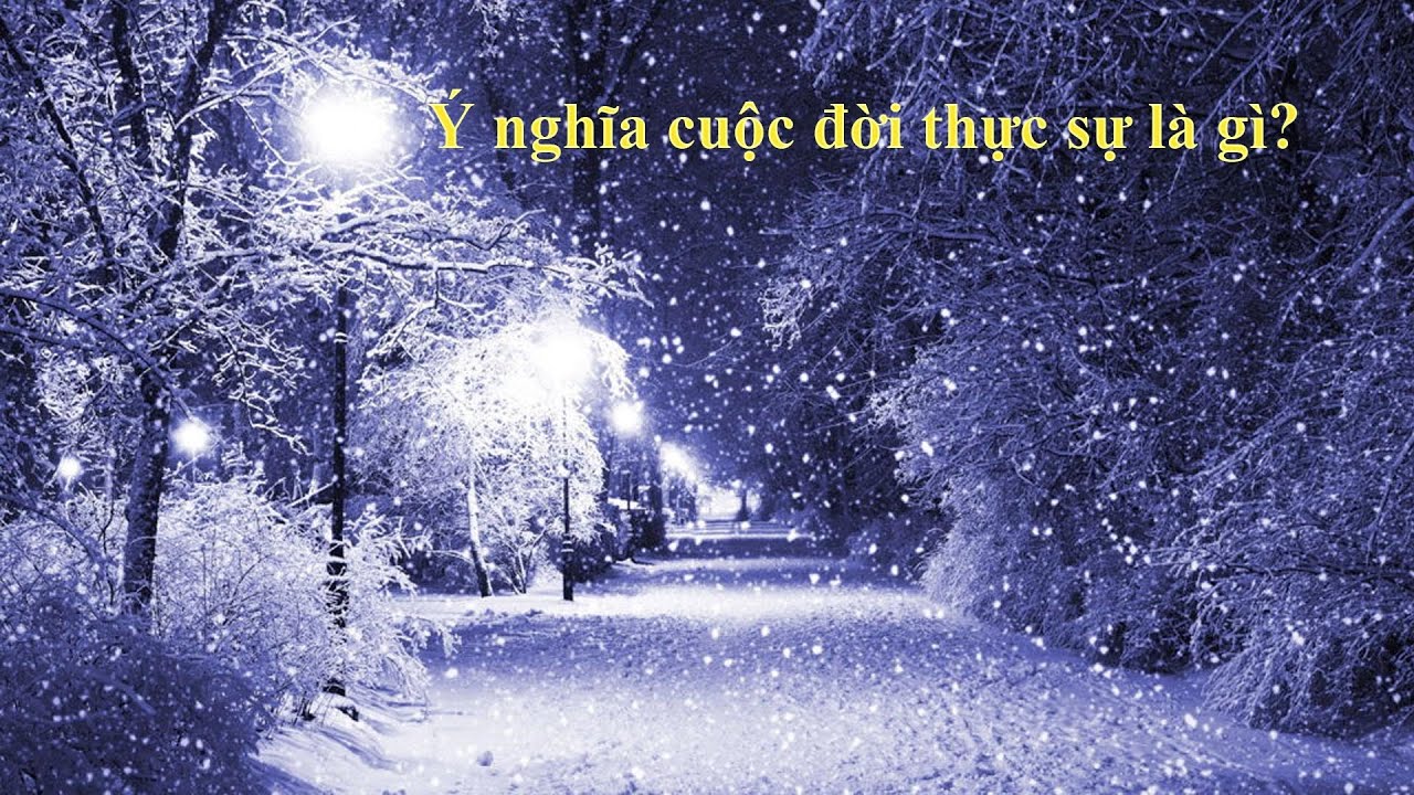 Ý nghĩa cuộc đời này thực sự là gì?