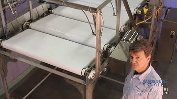 Loin Sorting Systems