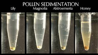 Pollen Sedimentation times in water - small volumes