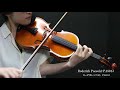楽器試奏動画】Roderich Paesold PA801J Violin - YouTube
