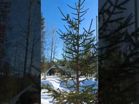 كاظم الساهر أعجبك الشاي