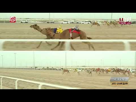 ش 6 دفاق ل سلطان محمد مرخان المنصوري 5 49 76 مهرجان الأمير الوالد 2025 2 13حقايق الشحانية