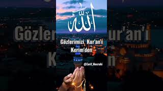 Müsaitseniz Amin Yazıp, Abone. Olur Musunuz...