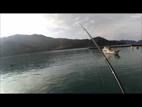 サビキ釣りでカタクチイワシが入れ食い 福井県 釣姫漁港 15 12 13 Youtube