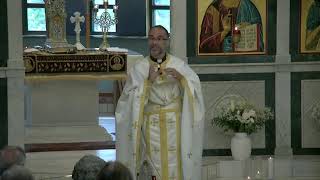Sermon: 6-6-21 -Sunday of the Blind Man - Rev. Dr. Peter J. Spiro