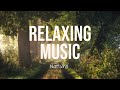 Relaxing Video Blissful Moments Serene Sounds For Relaxation And Meditation mp3