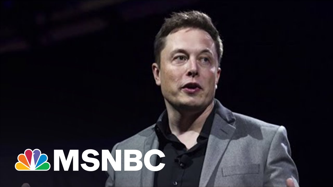 Fact Check Are Attorneys Investigating Elon Musk Over U S Citizenship