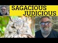  judicious vs sagacious meaning  sagacious or judicious sagacious and judicious defined difference
