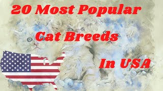 20 Most Popular Cat Breeds in USA and its informatiom by Round The World 26 views 1 year ago 6 minutes, 48 seconds