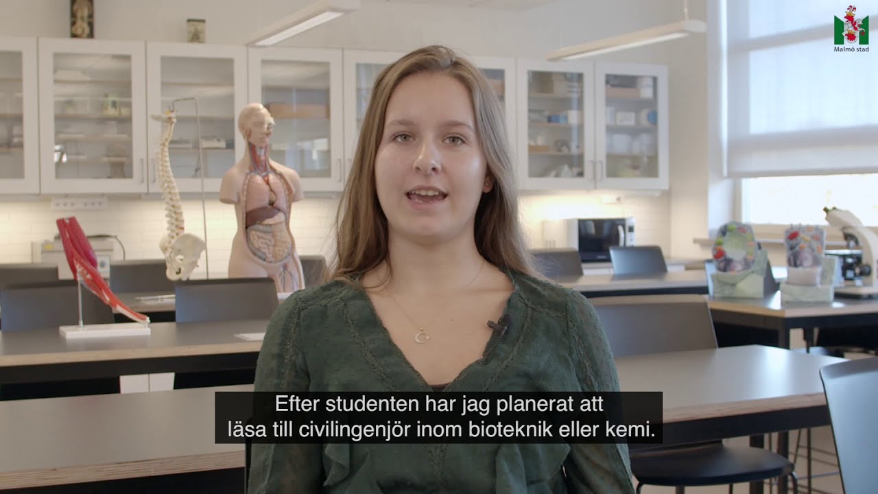 Naturvetenskapsprogrammet