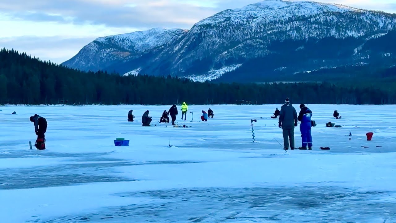 За Норвежским Арктическим Гольцом! НАШ ПЕРВЫЙ!!! Зимняя ловля гольца в Норвегии