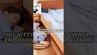 THIS KITTY COPIED ITS OWNER…AND THEN RECEIVED A BIZARRE HAT#FUNNYSHORTS #PETS #CUTE #LOVE #VIRALPETS